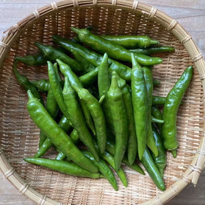 『クール便発送』季節限定！生青唐辛子５００g『韓国唐辛子（辛口）』