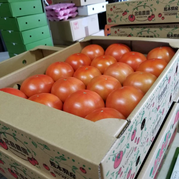 【アオ様限定】朱色に仕上がる大玉トマト一箱とフルーツパプリカ一箱のセット