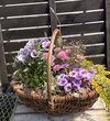 プレゼントに！お花たっぷりバスケットLサイズ[35センチ程度]