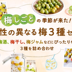 【大容量】梅しごとの季節が来た！「個性の異なる梅3種セット」