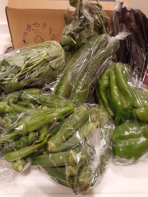 みんなの投稿の画像