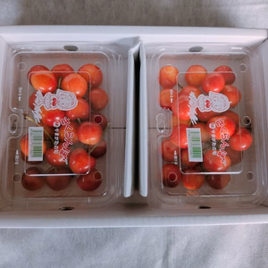 【新商品】山形県寒河江市産さくらんぼ【紅秀峰】フードパック２００㌘ｘ２