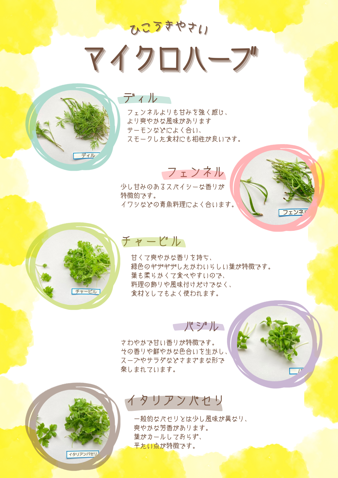 野菜の産直通販・お取り寄せ商品｜ポケットマルシェ｜産地直送で旬の
