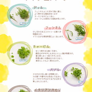 【週末発送】ﾏｲｸﾛﾊｰﾌﾞ 5種/各2g＆ｴﾃﾞｨﾌﾞﾙﾌﾗﾜｰ MIX20輪