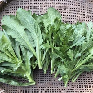 2種の春菊☆食べ比べセット