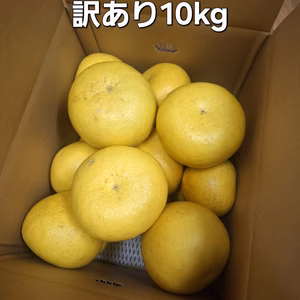 ※訳あり文旦(2ＬとＬの混合)10キロ