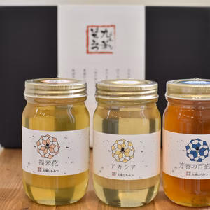 【300ｇ×3本】養蜂家直送！完全自家採集の国産天然はちみつお試しセット