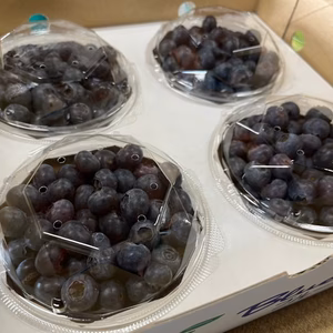 生食用　甘さと酸味のハーモニー　ブルーベリー (品種込)
