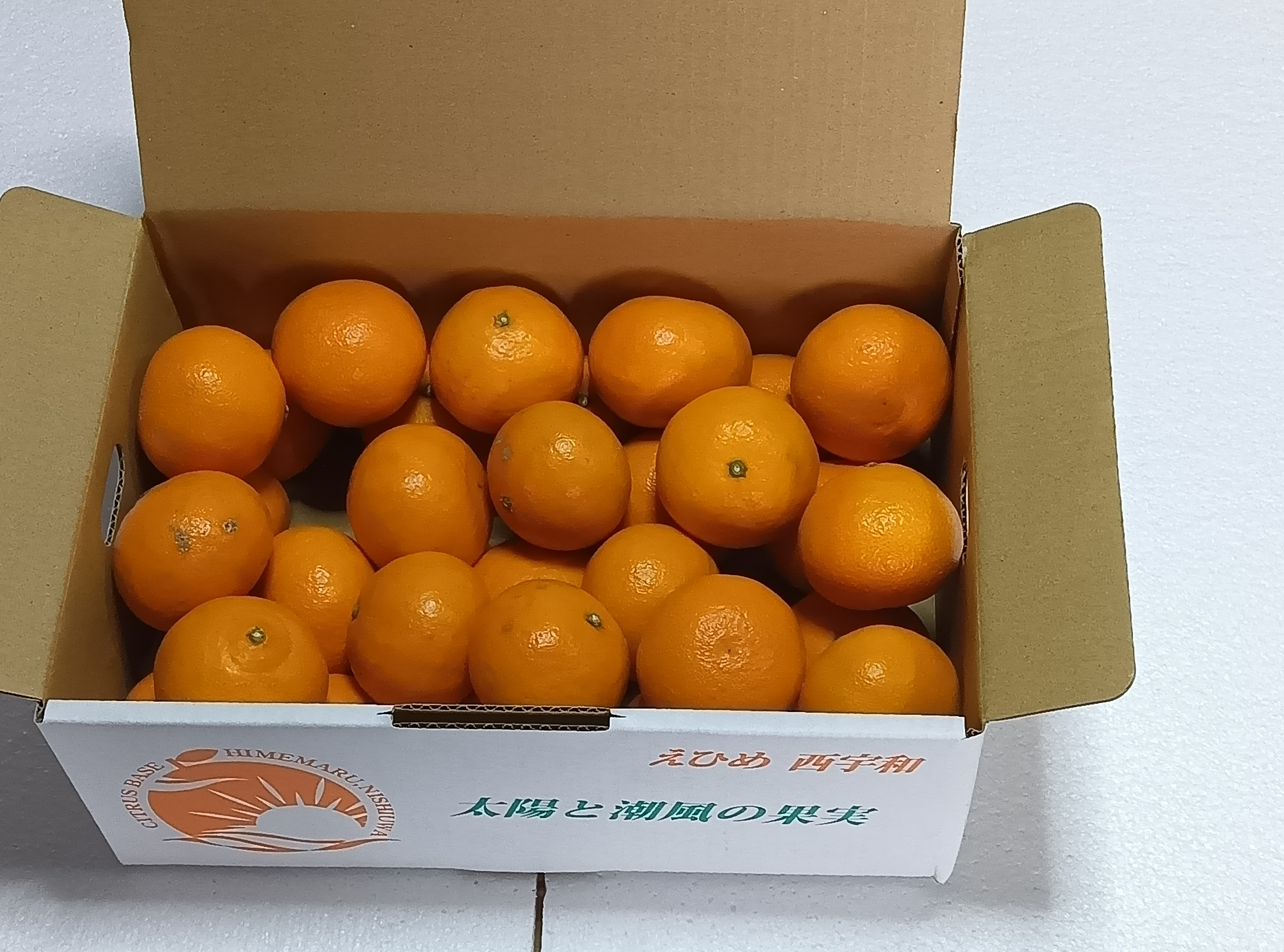 人気商品！小玉みかん 熊本県産 農家直送便 楽天市場】【在庫復活☆2セット以上でおまけ！】小玉 みかん 送料無料