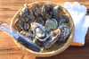 ✨訳あり！増量中✨規格外　Pecco Oyster（生食用殻付）