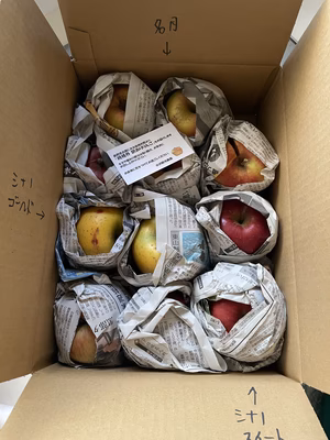 みんなの投稿の画像