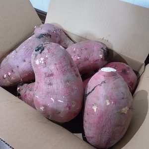 【訳アリ】さつまいも10kg！紅はるか・S～3Lサイズ詰め合わせ