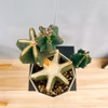 ［在庫］　柱サボテン　鬼面角 ブランチ　観葉植物　室内　多肉植物　ユニーク