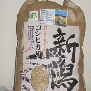 有機JAS認証コシヒカリ