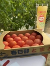 赤熟もぎり！水耕栽培の王様トマト 4キロ