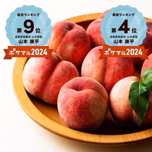 ６月発送【糖度15度以上保証桃】【家庭用】お家で甘桃体験♪