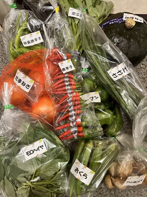 みんなの投稿の画像