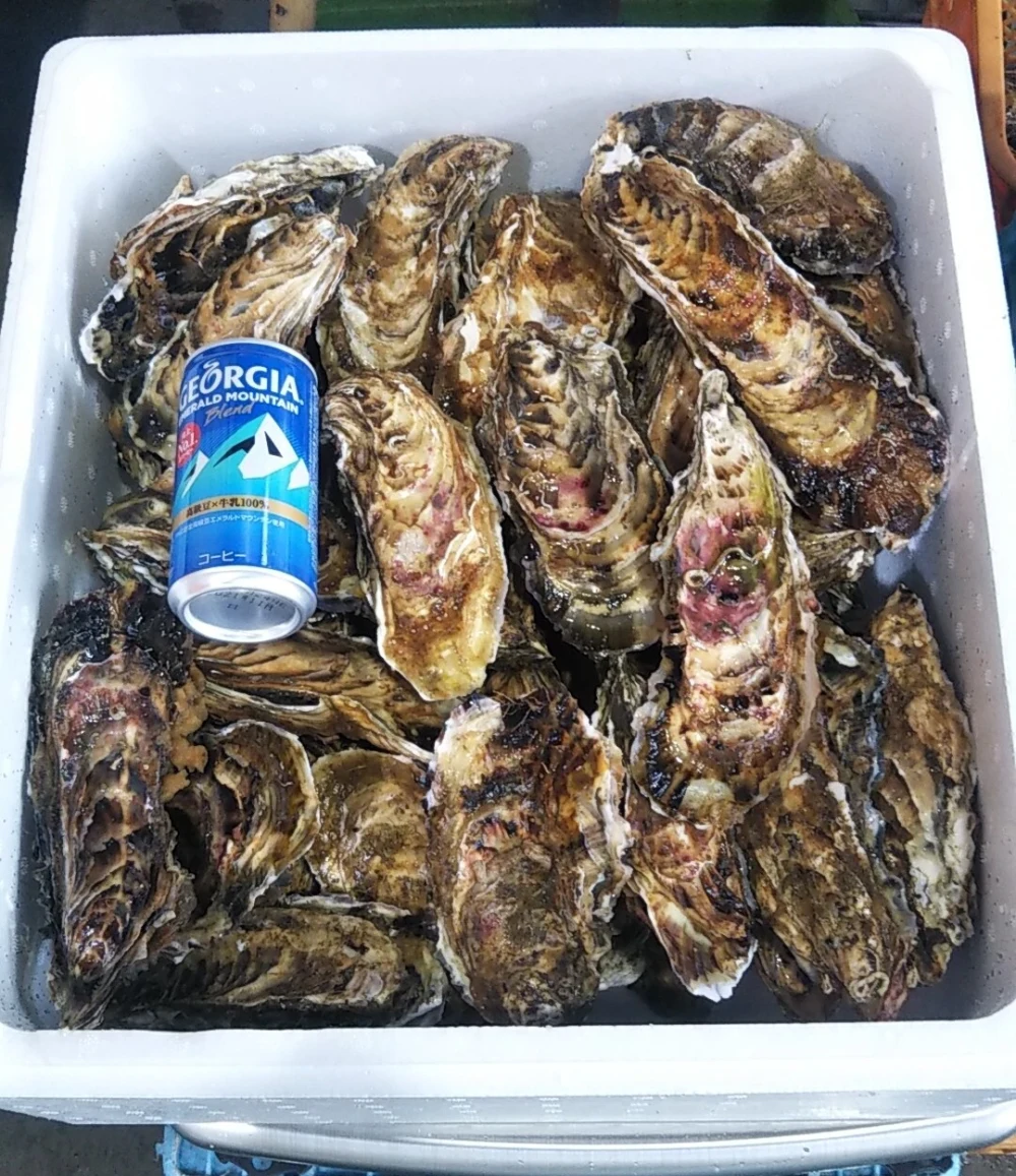 食べ放題向け　バラ牡蠣（生食可）　５ｋｇ30個くらい
