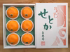 【化粧箱】『柑橘の大トロ』ハウスせとか厳選大玉6玉入（約2.5kg）