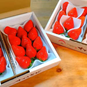 果汁たっぷり+大玉のセット やよいひめ『群馬いちご』320g  