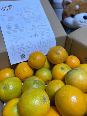 みんなの投稿の画像