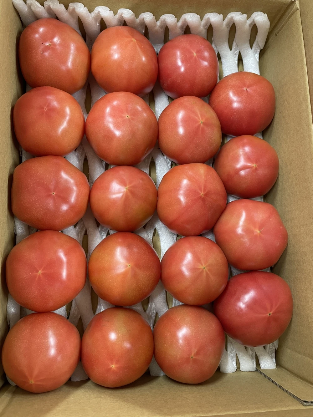 【訳ありお得】80サイズ箱いっぱい約3.8kg新鮮桃太郎トマト♡食べたらトリコ