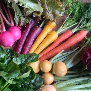 無農薬野菜 こだわり旬の野菜セット！ 滋賀県産