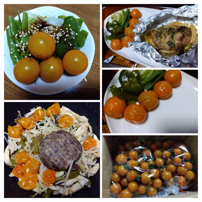 みんなの投稿の画像