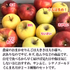 りんご 農家のお任せ食べ比べセット
