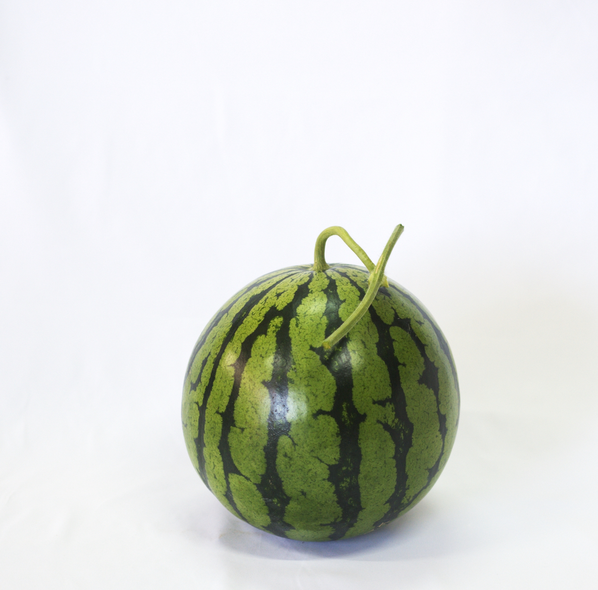 産地直送 熊本植木町スイカ【2玉入り】8kg スイカ 大玉 熊本 送料無料 2玉セット 1玉あたり2L (約7〜8kg) 種あり