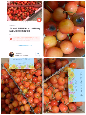 みんなの投稿の画像