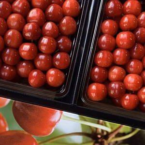 【クール便】大玉さくらんぼ２Ⅼサイズ紅秀峰１kg(500gﾊﾟｯｸ×２）秀品規格