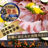 【一流割烹料理店御用達】日本海ブランド"天然国産"活き〆ぶり刺身＆ぶりしゃぶ用
