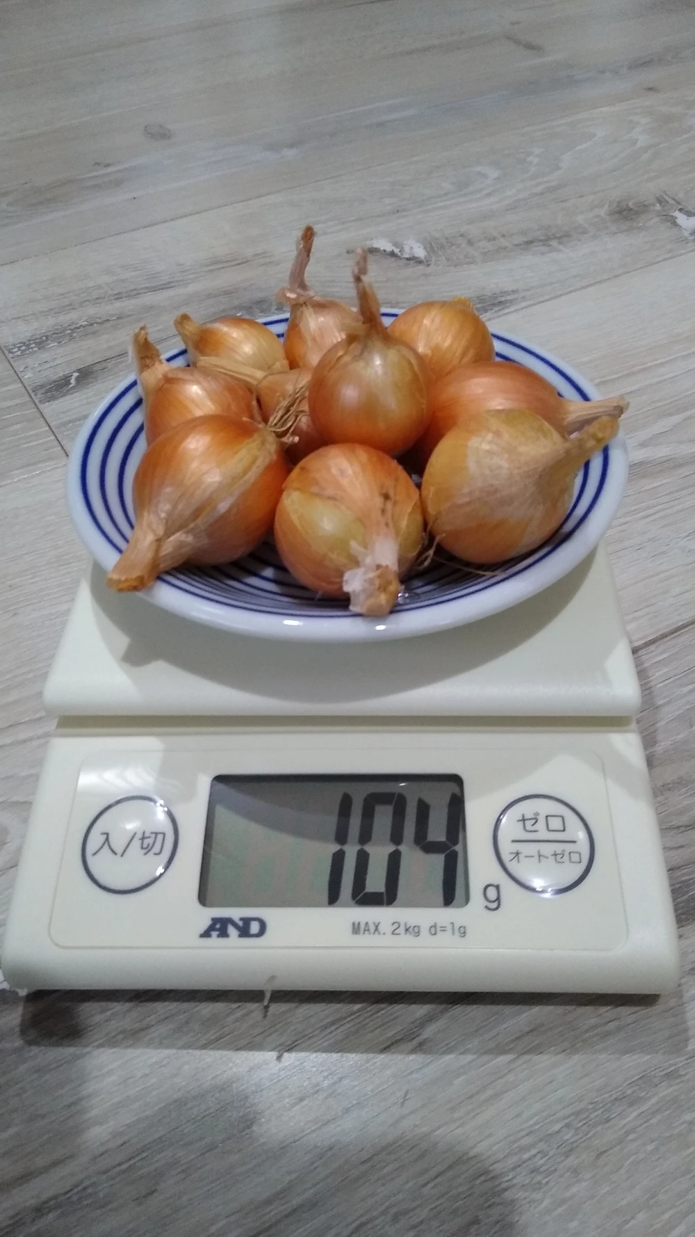 北海道富良野産ペコロス　4Sサイズ　500g（50個前後）玉ねぎ
