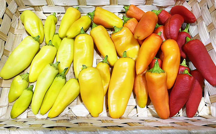 超激辛青唐辛子❗げきから君 2kg 農薬を用いない農家直送 激辛