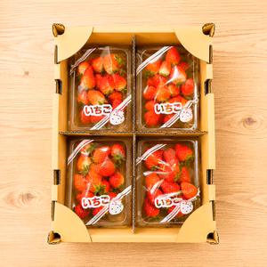 【即日発送】いちご「夏のしずく」 レギュラーパック 1kg （250g×4p）