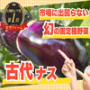 【一般流通しない古代ナス】品種改良なしの固定種野菜☆農薬・化学肥料不使用