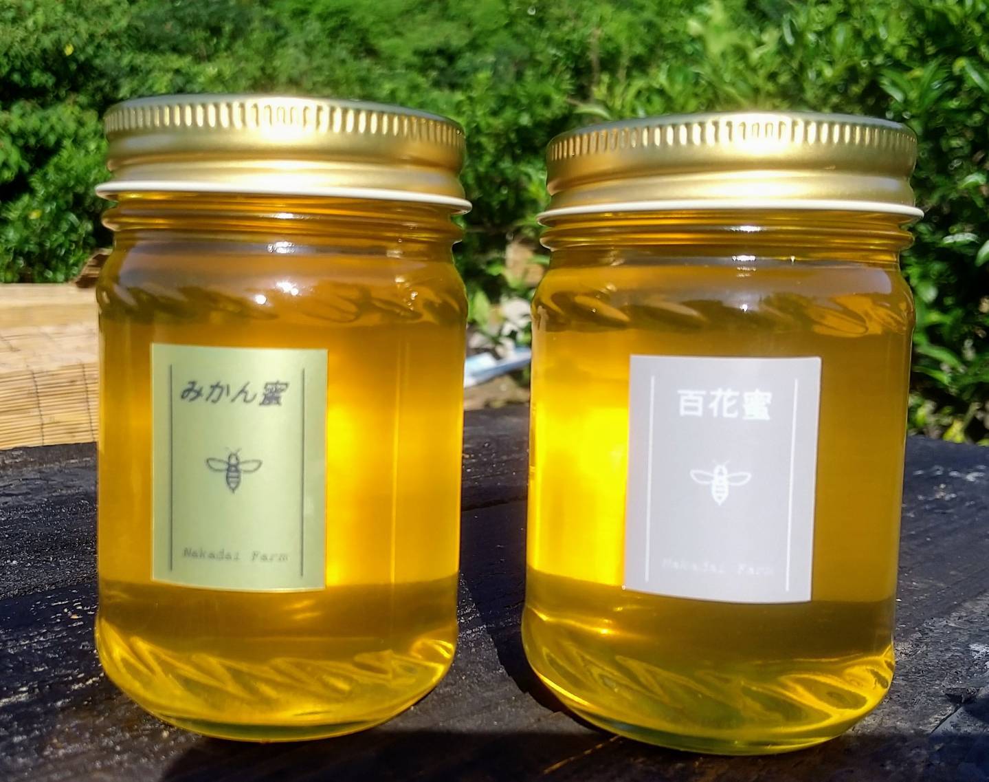 非加熱・純粋はちみつ】希少なみかん蜜&百花蜜食べ比べセット｜蜂蜜の