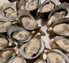 岩牡蠣&真牡蠣❗️牡蠣の食べ比べセット❗️