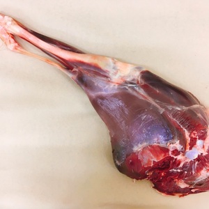数量限定【肉マニア向け】鹿モモ肉1本丸ごと部位食べ比べセット