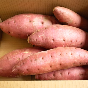 減農薬　減化学肥料　紅まさり　2ｋｇ　お徳用　茨城　ひたちなか産