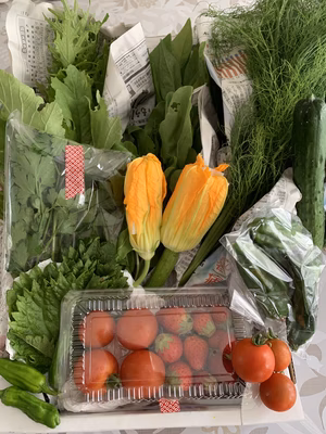 みんなの投稿の画像