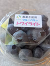 ブルーベリー高級品種トワイライト　400g
