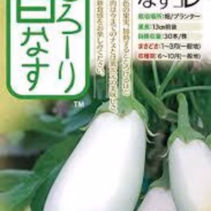 白ナス　とろーり旨ナス　農薬不使用　化学肥料不使用　除草剤不使用