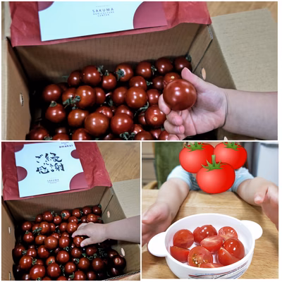 みんなの投稿の画像