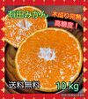 有田みかん『木成り』10kg(箱込)100