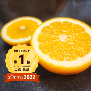 河内晩かん　旬の果実