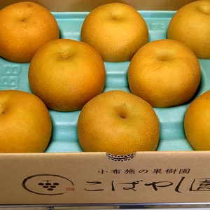 【甘酸っぱくてジューシー！】南水梨(良品) 3kg