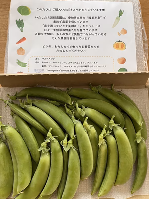 みんなの投稿の画像