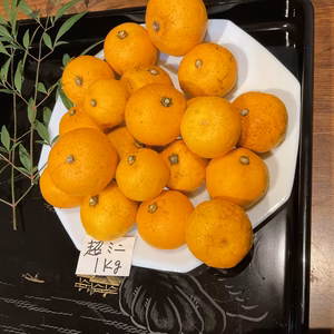   八朔　超小粒ミニミニ　無農薬　自然肥料除草剤不使用　わけあり